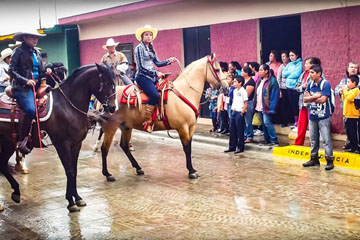 Cabalgata 50