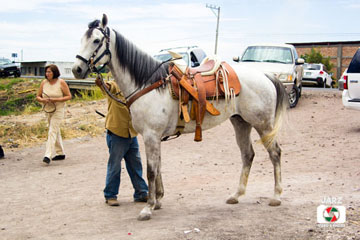 Cabalgata 45