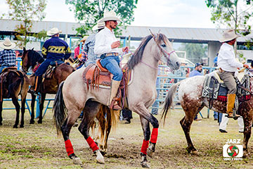 rodeo 3