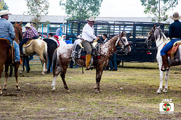rodeo 4
