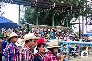 rodeo 44
