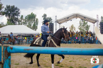 rodeo 8