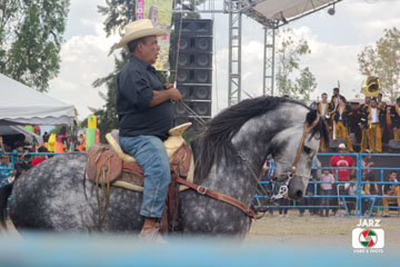 rodeo 10