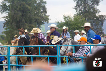 rodeo 11