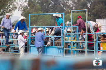rodeo 13
