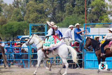 rodeo 15