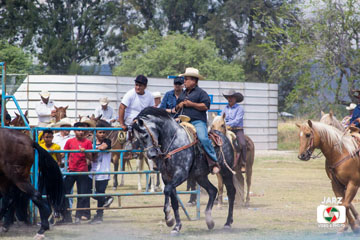 rodeo 18