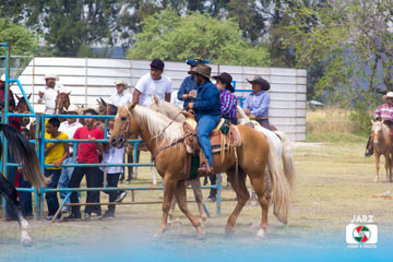 rodeo 19