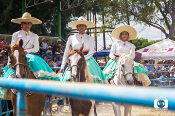 rodeo 21
