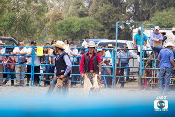 rodeo 23