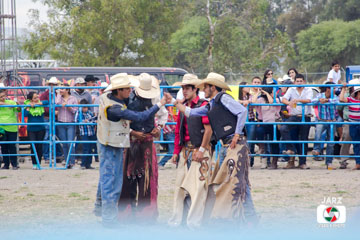 rodeo 24