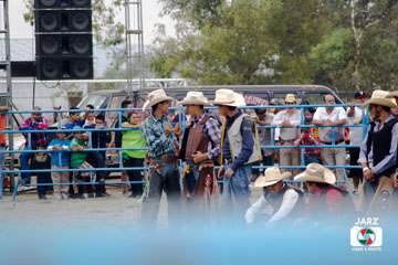 rodeo 25