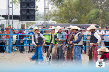 rodeo 29