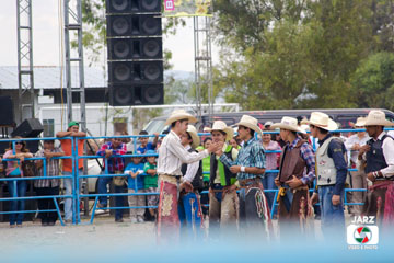 rodeo 31