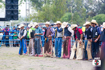 rodeo 33