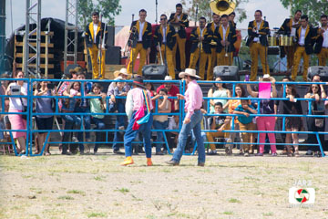 rodeo 39