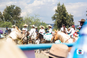 rodeo 40