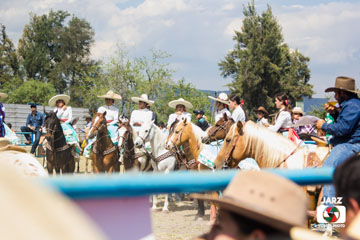 rodeo 41