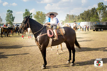 rodeo 1