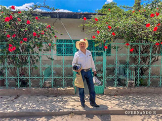 San Jose Casas Caídas